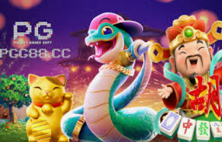 云开足球平台2024最新版