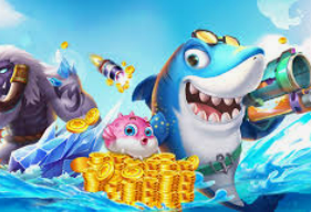 云开足球平台正式版